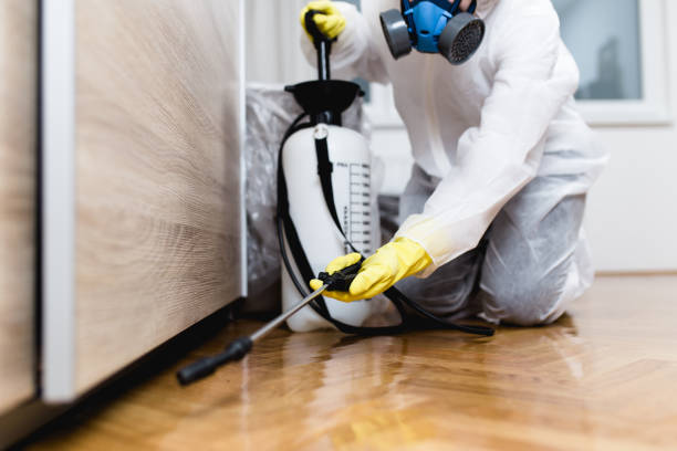 Best Cockroach Control Services  in Geistown, PA