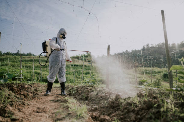 Best Best Pest Control Companies  in Geistown, PA