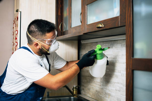 Best Termite Control Services  in Geistown, PA