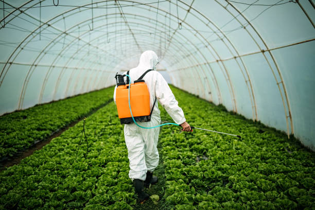 Best Pest Removal Services  in Geistown, PA