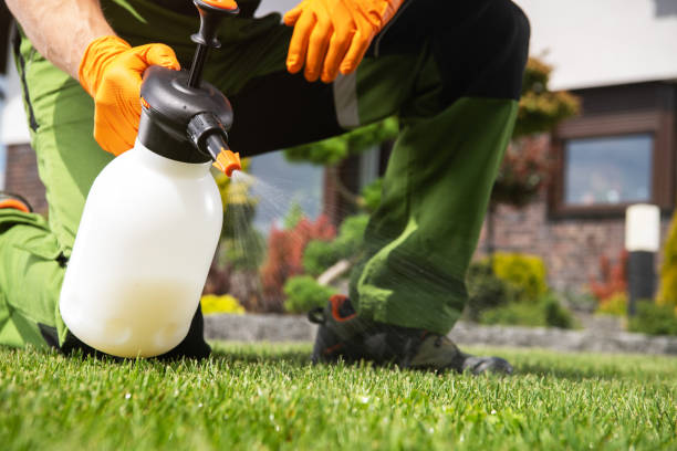 Best Pest Removal Services  in Geistown, PA