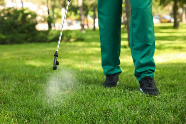 Best Termite Control Services  in Geistown, PA