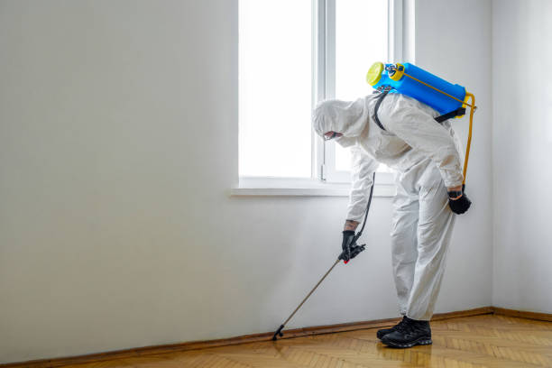 Best Pest Inspection Near Me  in Geistown, PA