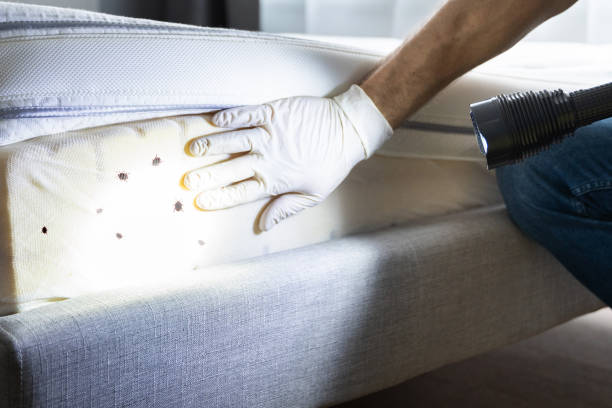 Best Best Pest Control Companies  in Geistown, PA